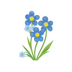 Fototapeta premium Forget-me-not flower vector, blue flower on a white background