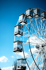 ferris wheel in the park