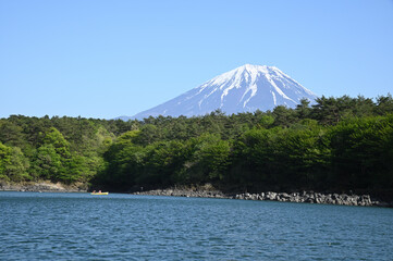 精進湖から望む富士山