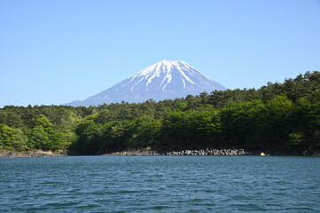 精進湖から望む富士山