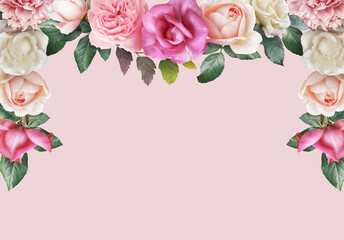 Floral banner, header with copy space. Pink and white roses  isolated on pastel background. Natural flowers wallpaper or greeting card.