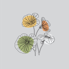 Flower of the Nasturtium, free vector. Tropical, retro, vintage, hand-drawn, isolated floral artwork.