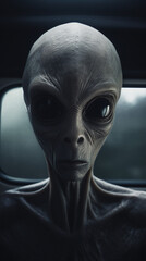 Cosmic Nexus: Grey Alien and Extraterrestrial Vessel, generative ai