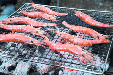 キャンプ場でエビの網焼き