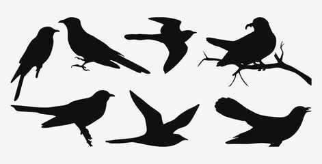 Timeless Elegance, Intricate Silhouette Set of Exquisite Cuckoo Clocks