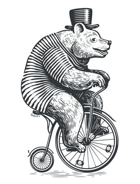 Funny bear rides a retro bike. Circus performance, fair show. Vintage sketch vector illustration engraving style