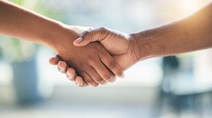 Handshake, welcome and shaking hands by people meeting for partnership or agreement together as a...