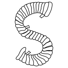 Uppercase S Mummy font design for Halloween decor