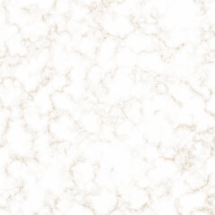 white panorama marble texture. abstract light elegant white for floor ceramic counter texture stone slab smooth tile gray silver natural.