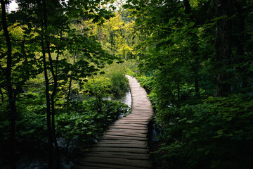 Chemin en bois sur Slovenia, Triglav Parc National. National Park of Triglav in Slovenia, wooden path.