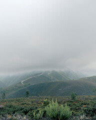 landscape in the fog mountains