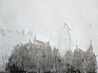 Wooden white paint peeled off. Wood old paint. White paint flakes off. Texture, pattern, background.