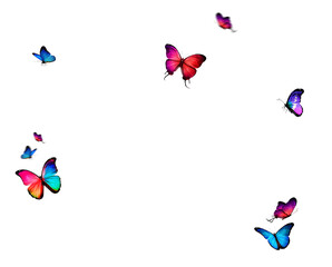 Set of butterflies on transparent background. Butterfly with different colors isolated. Realistic...