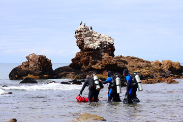 MALIBU (California), detail view of BIG ROCK BEACH located at 20000 Pacific Coast Hwy, Malibu 