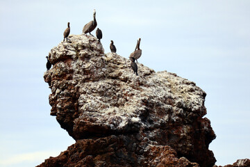 MALIBU (California), detail view of BIG ROCK BEACH located at 20000 Pacific Coast Hwy, Malibu 