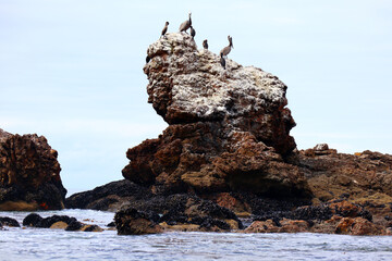 MALIBU (California), detail view of BIG ROCK BEACH located at 20000 Pacific Coast Hwy, Malibu 