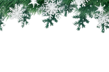 border of isolated green Christmas tree branches at the edge on transparent background with sparkling white snowflakes on white background with copy space PNG