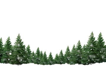 border of isolated green Christmas tree branches at the edge on transparent background with...