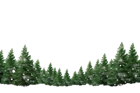 border of isolated green Christmas tree branches at the edge on transparent background with sparkling white snowflakes on white background with copy space PNG