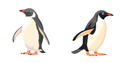 Obraz premium Arctic penguin isolated standing with raised wings and beak