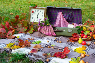 Autumn picnic for children in nature. Autumn picnic in the park. Active lifestyle concept. Bedspread, old clock, autumn leaves, apples, fruit basket, soft toy on picnic plaid on nature yellow red