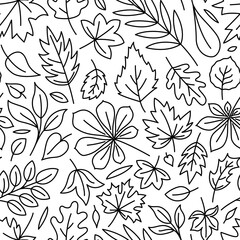 Line art seamless pattern with leaves. Line art, Vector