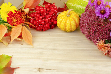 Flat lay with autumn harvest of fruits, pumpkins and flowers on wooden background. Beautiful autumn background with colorful ripe fruits and copy space. High quality photo