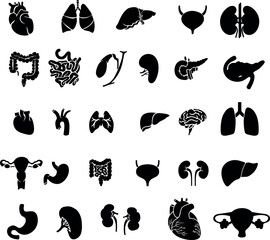Digestive Health System Parts Silhouette, Human Body Parts, Digestive Parts Silhouettes Set 1