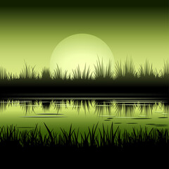 Realistic vector illustration of a pond overgrown with vegetation in the mysterious light of the rising moon