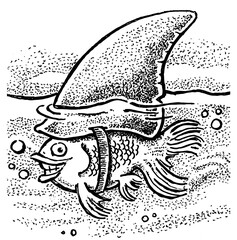 Gold fish with shark fin