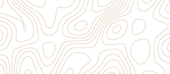 Fototapeta na wymiar Panorama view gradient multicolor wave curve lines banner background design. Vector illustration. wave Line topography map contour background .Abstract Topographic map background with wave line.