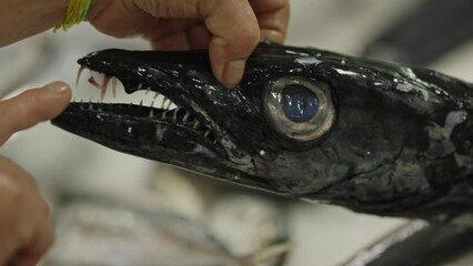 Black Scabbard Fish - Portuguese black fish with sharp teeth