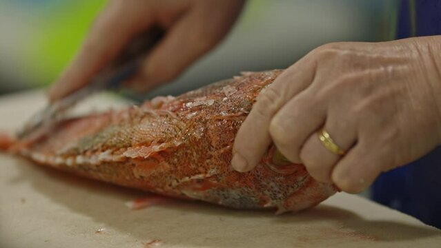 Chef cleans a redfish from scales