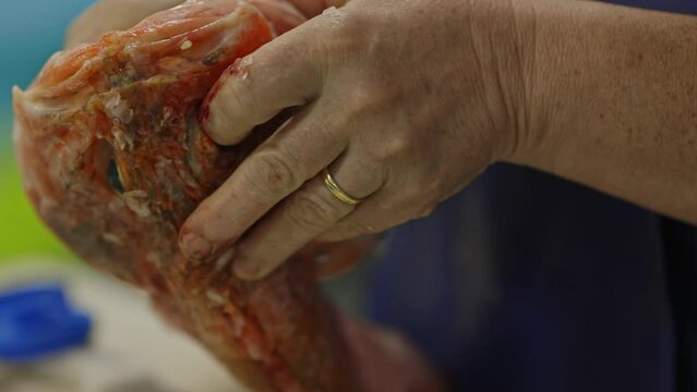 The chef butchers the redfish before cooking