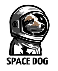 A dog in a space suit. Vector illustration.