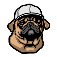 Pug puppy in a baseball cap. Vector illustration.
