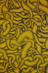 golden dragon background