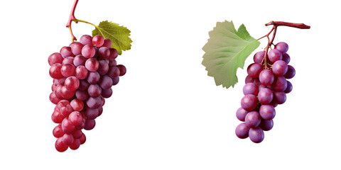 Red grape by itself on a transparent background