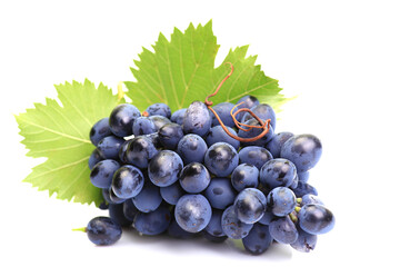 Bunch grape isolated 