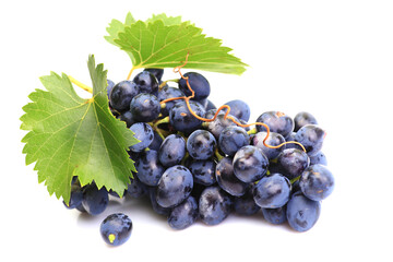 Grapes isolated on white background