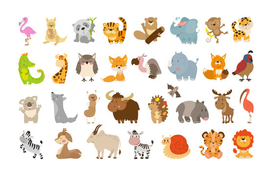 Collection of Vector Illustrations of Animals