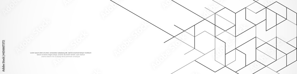 Wall mural panoramic view of abstract geometric background with hexagons shape pattern for banner or website he