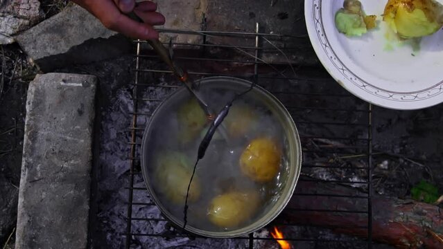 Potatoes are cooked in a large cauldron over an open fire during the day. Picnic in the forest. The pot is on fire and boils water. A camping pot cooks new potatoes on a wood fire.