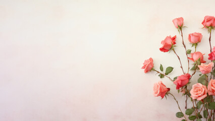 Rose flower on white background from top view with copy space