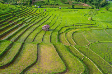 Beautiful  rice terraces in the countryside of northern Thailand, Chiang Mai province, Thailand.