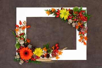 Floral Thanksgiving and Autumn Nature Background Border