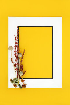 Autumn Fall background border design on yellow. Minimal seasonal composition for greeting card, label, menu, invitation, gift tag.