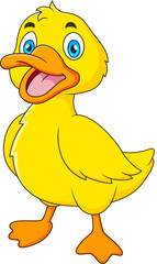 Cute baby duck mascot cartoon