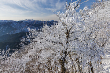 樹氷の高見山