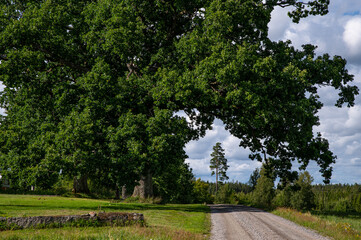 Höfe in Småland